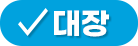 대장