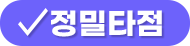 정밀타점
