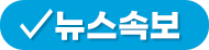 뉴스속보
